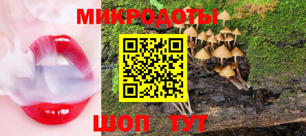 Железноводск  Галлюциногенные грибы прущие грибы  где продают наркотики  Вход с VPN  Псилоцибиновые грибы GOLDEN TEACHER 