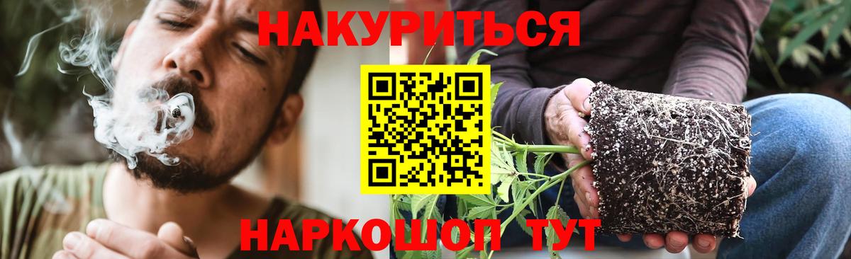 Конопля Bruce Banner Железноводск
